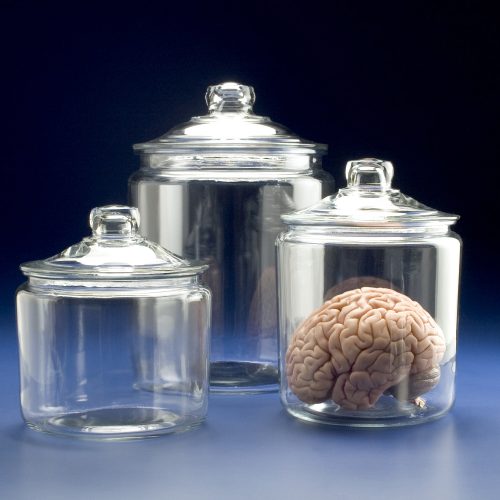 Brain Research Laboratories » Glass Specimen Jars with Glass Lid