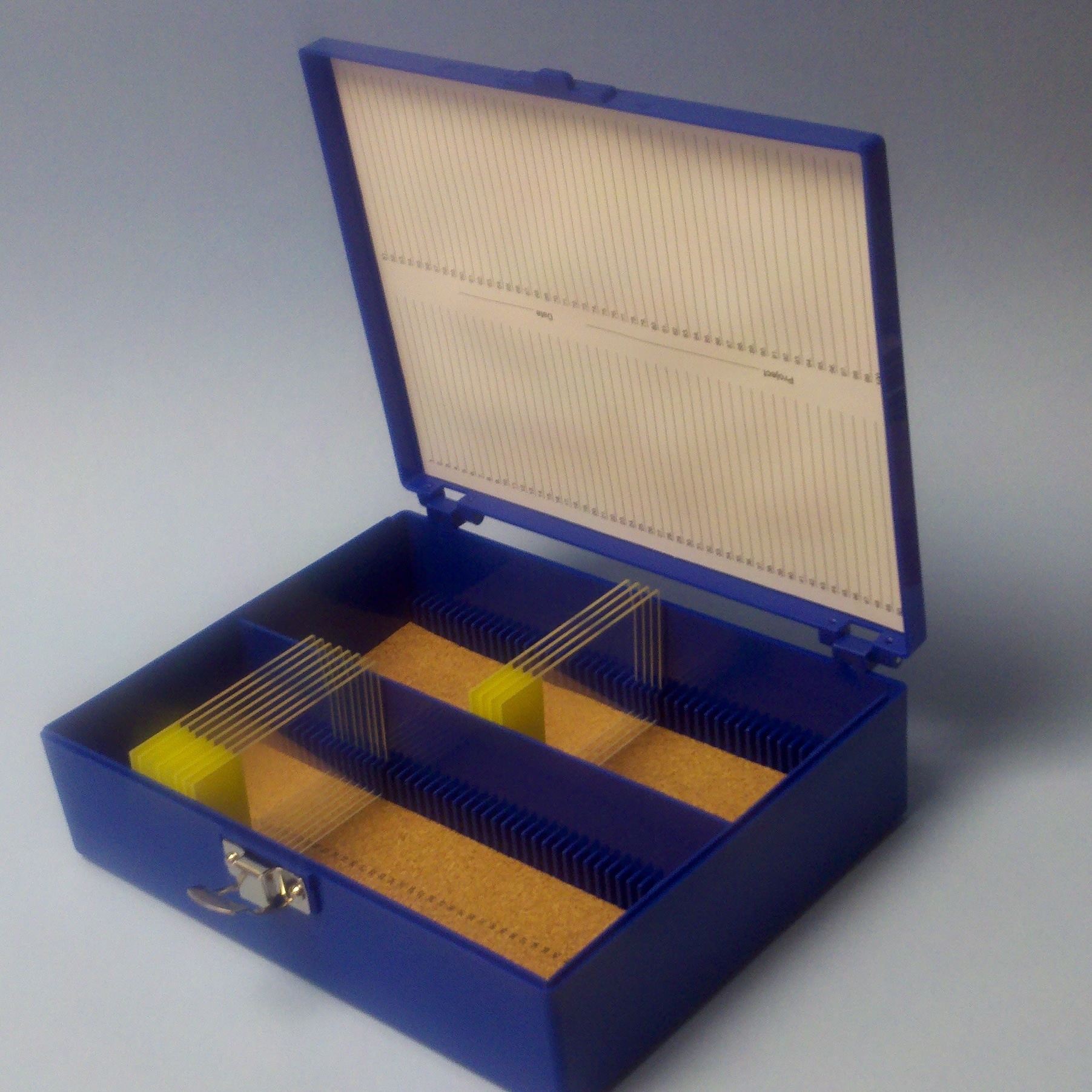 Blue Plastic Rectangle Shape Hold 100 Microslide Slide Microscope Box
